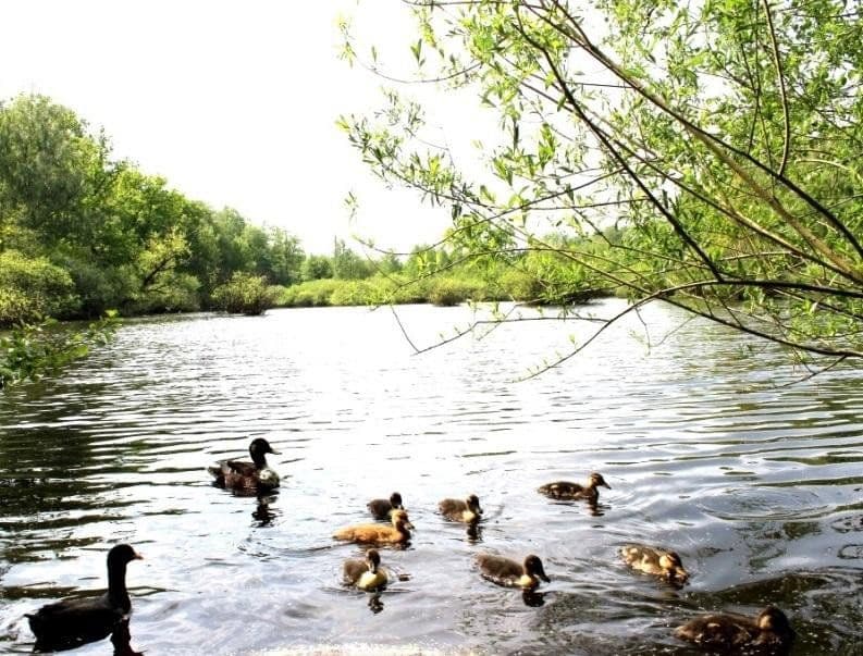 Prodej bytu 4+1 67 m², Hamburg, Hamburg Prodej bytu 4+1 67 m², Hamburg, Hamburg