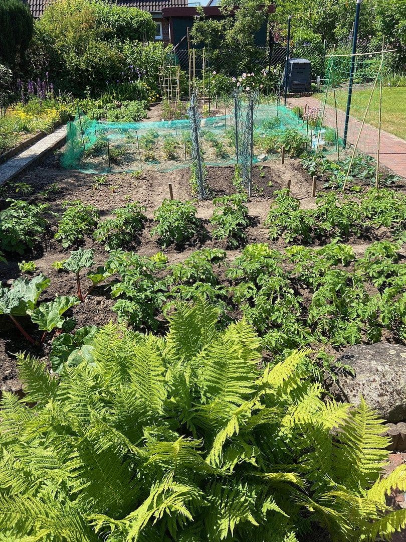 Prodej domu 113 m², pozemek 708 m², Wilhelm-Busch-Straße 22, Neumünster, Šlesvicko-Holštýnsko Prodej domu 113 m², pozemek 708 m², Wilhelm-Busch-Straße 22, Neumünster, Šlesvicko-Holštýnsko