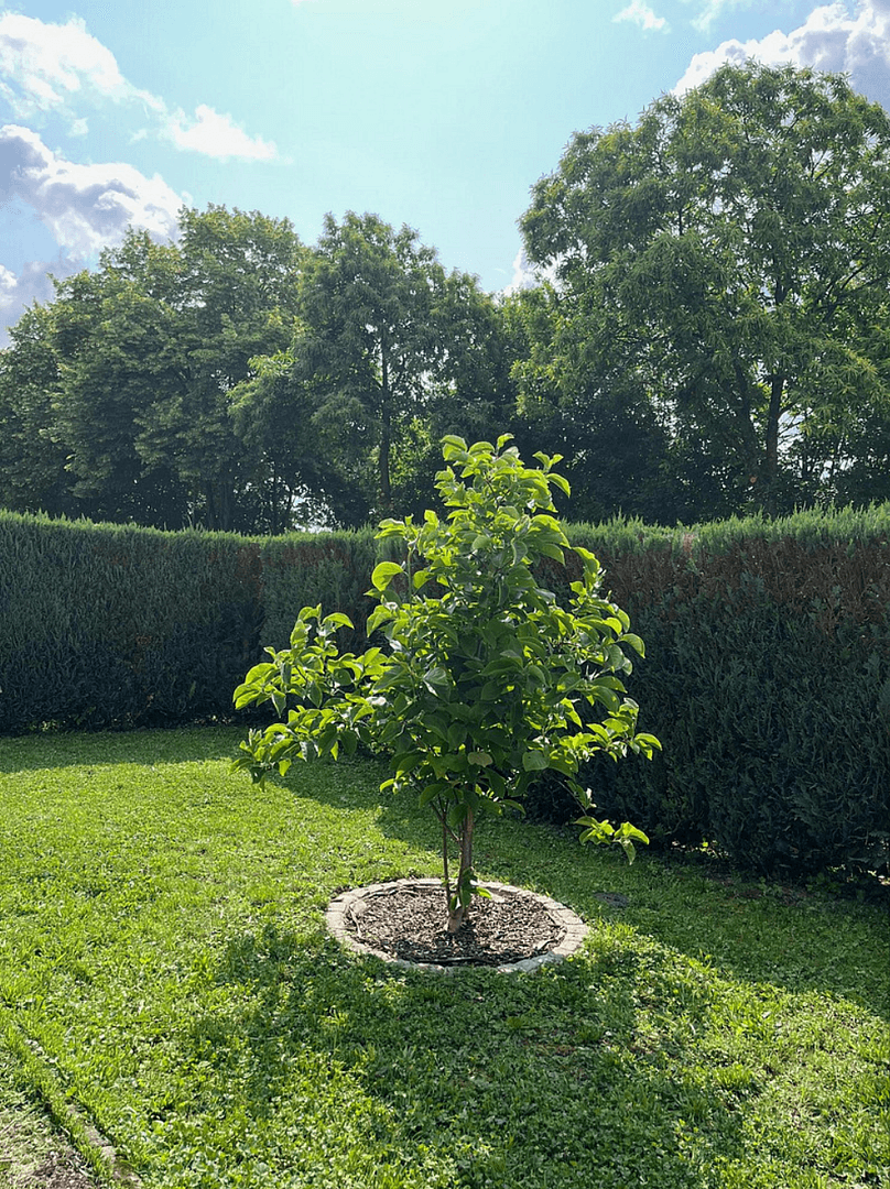 Pronájem bytu 3+kk 100 m², Mosbach, Bádensko-Württembersko Pronájem bytu 3+kk 100 m², Mosbach, Bádensko-Württembersko