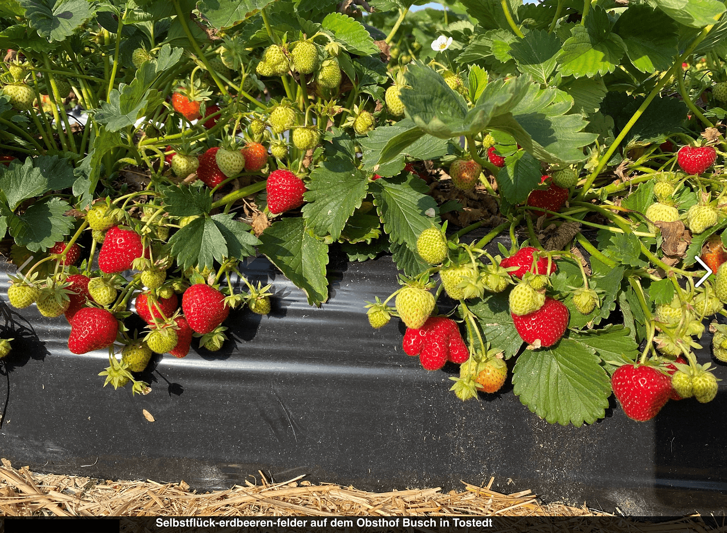 Pronájem bytu 3+1 83 m², Tostedt, Dolní Sasko Pronájem bytu 3+1 83 m², Tostedt, Dolní Sasko