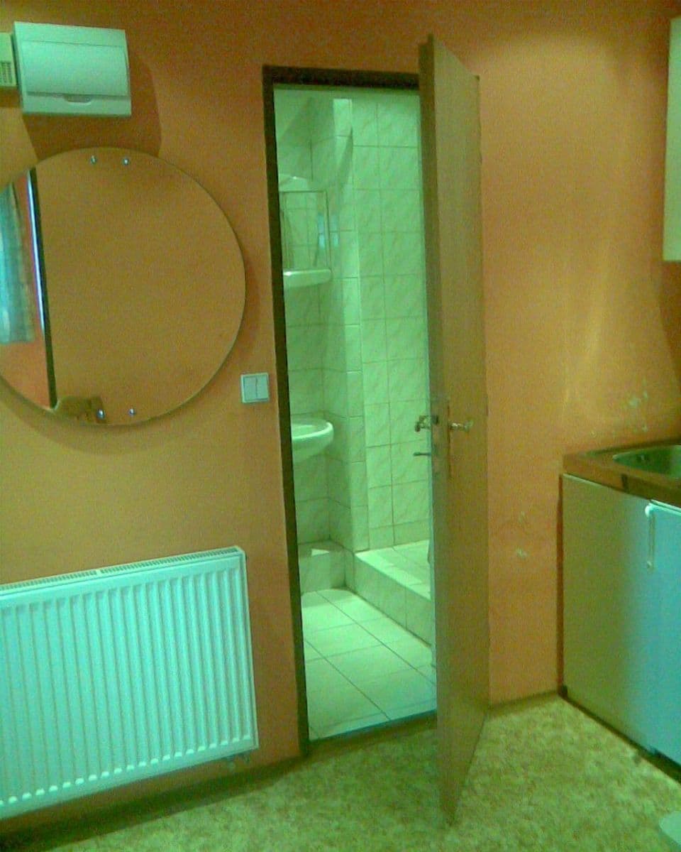 Pronájem bytu 1+1 21 m², Sokolovská, Praha, Praha Pronájem bytu 1+1 21 m², Sokolovská, Praha, Praha