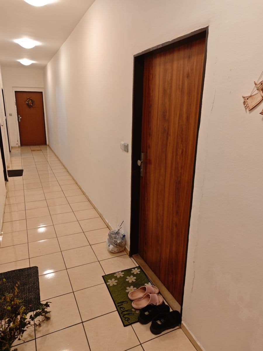 Pronájem bytu 1+kk 41 m², Litultovice, Moravskoslezský kraj Pronájem bytu 1+kk 41 m², Litultovice, Moravskoslezský kraj