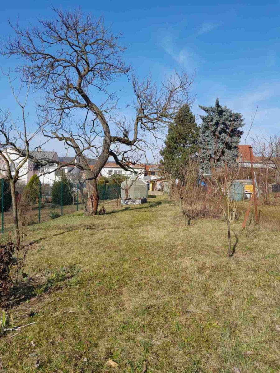 Prodej domu 115 m², pozemek 600 m², Kytnerova, Brno, Jihomoravský kraj Prodej domu 115 m², pozemek 600 m², Kytnerova, Brno, Jihomoravský kraj