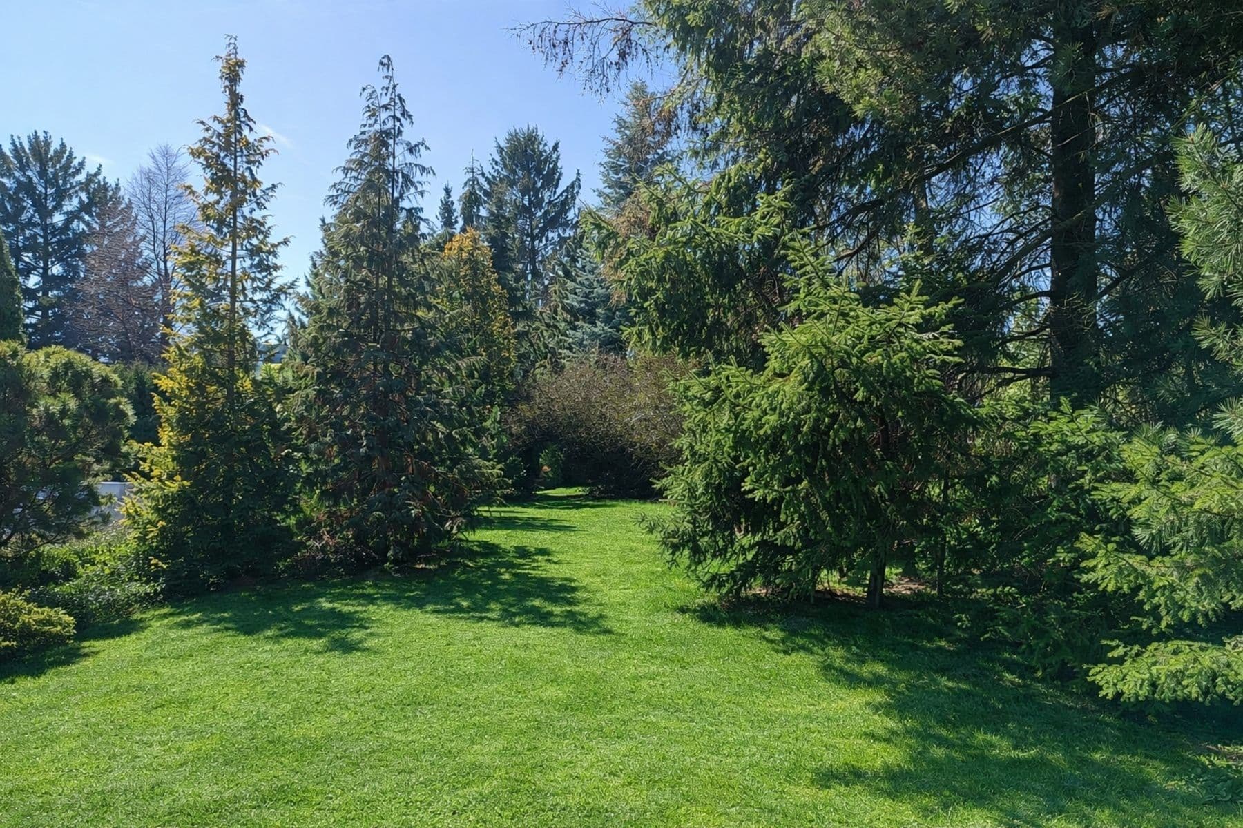 Prodej pozemku 1.615 m², Buřenice, Kraj Vysočina Prodej pozemku 1.615 m², Buřenice, Kraj Vysočina