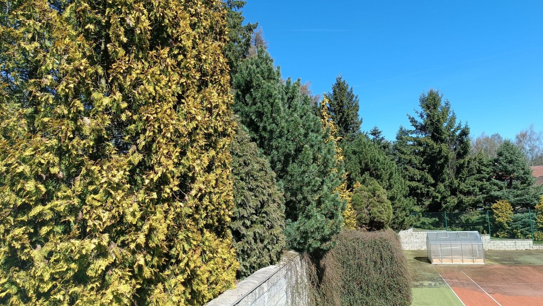 Prodej pozemku 1.615 m², Buřenice, Kraj Vysočina Prodej pozemku 1.615 m², Buřenice, Kraj Vysočina