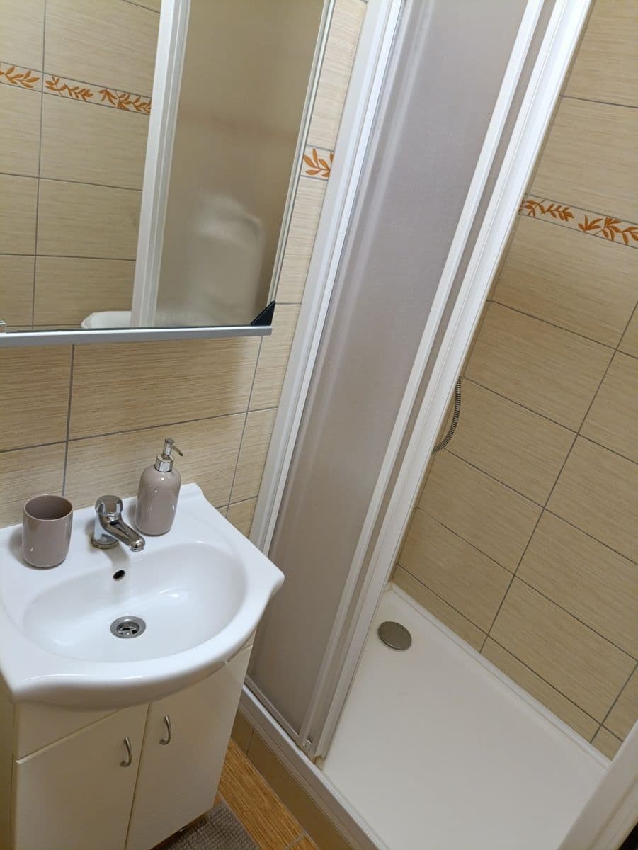 Pronájem bytu 2+1 60 m², Borodinova, Brno, Jihomoravský kraj Pronájem bytu 2+1 60 m², Borodinova, Brno, Jihomoravský kraj