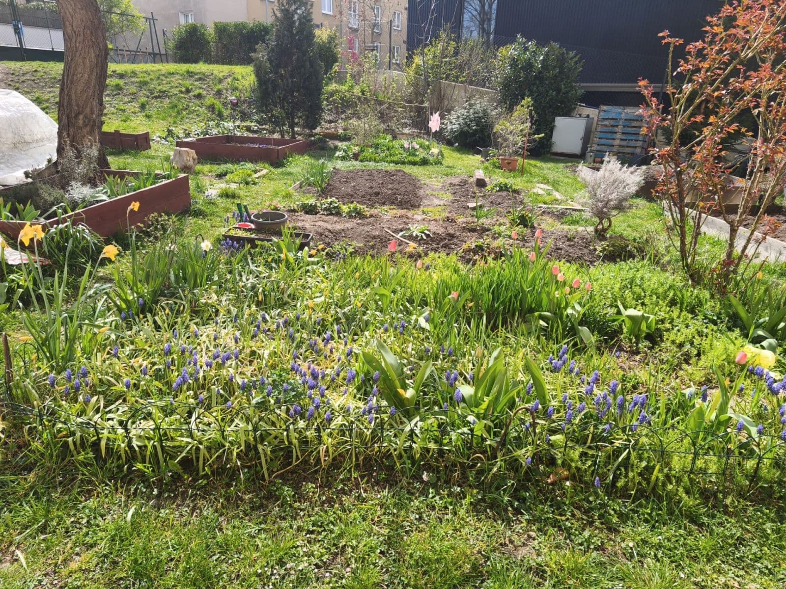 Prodej bytu 2+1 47 m², Mirošovická, Praha, Praha Prodej bytu 2+1 47 m², Mirošovická, Praha, Praha