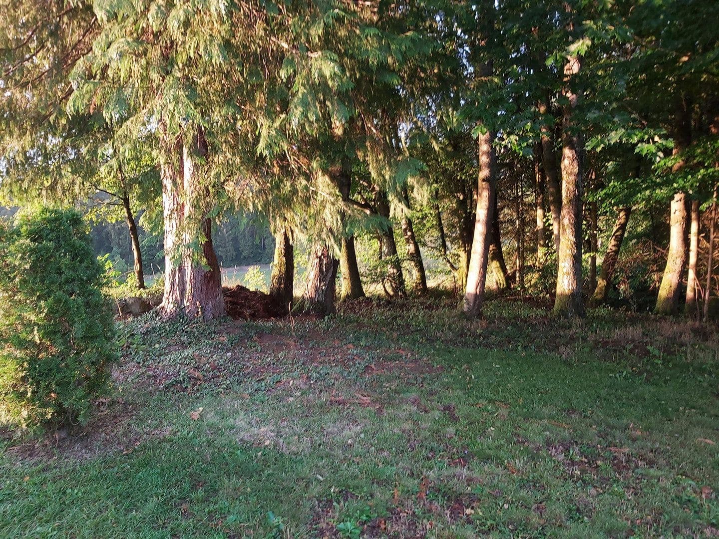 Prodej pozemku 1.020 m², Großerlach, Bádensko-Württembersko Prodej pozemku 1.020 m², Großerlach, Bádensko-Württembersko