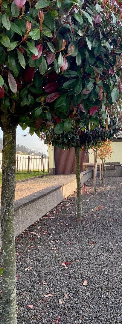 Pronájem bytu 4+1 105 m², Püttlingen, Země Sársko Pronájem bytu 4+1 105 m², Püttlingen, Země Sársko