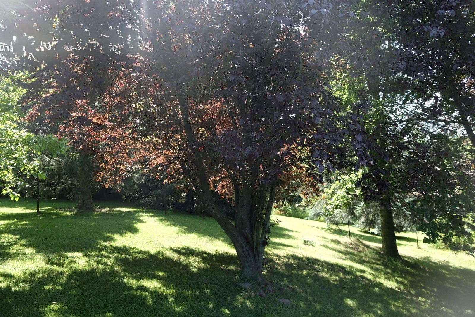 Prodej domu 242 m², pozemek 3.066 m², Claußnitz, Sasko Prodej domu 242 m², pozemek 3.066 m², Claußnitz, Sasko