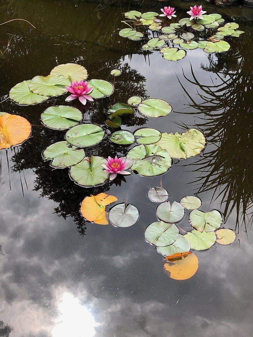 Prodej domu 140 m², pozemek 1.750 m², Heiligenhafen, Šlesvicko-Holštýnsko Prodej domu 140 m², pozemek 1.750 m², Heiligenhafen, Šlesvicko-Holštýnsko