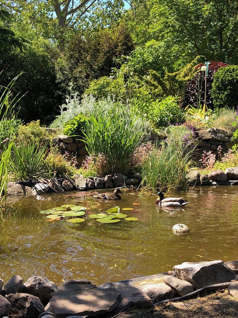 Prodej domu 140 m², pozemek 1.750 m², Heiligenhafen, Šlesvicko-Holštýnsko Prodej domu 140 m², pozemek 1.750 m², Heiligenhafen, Šlesvicko-Holštýnsko