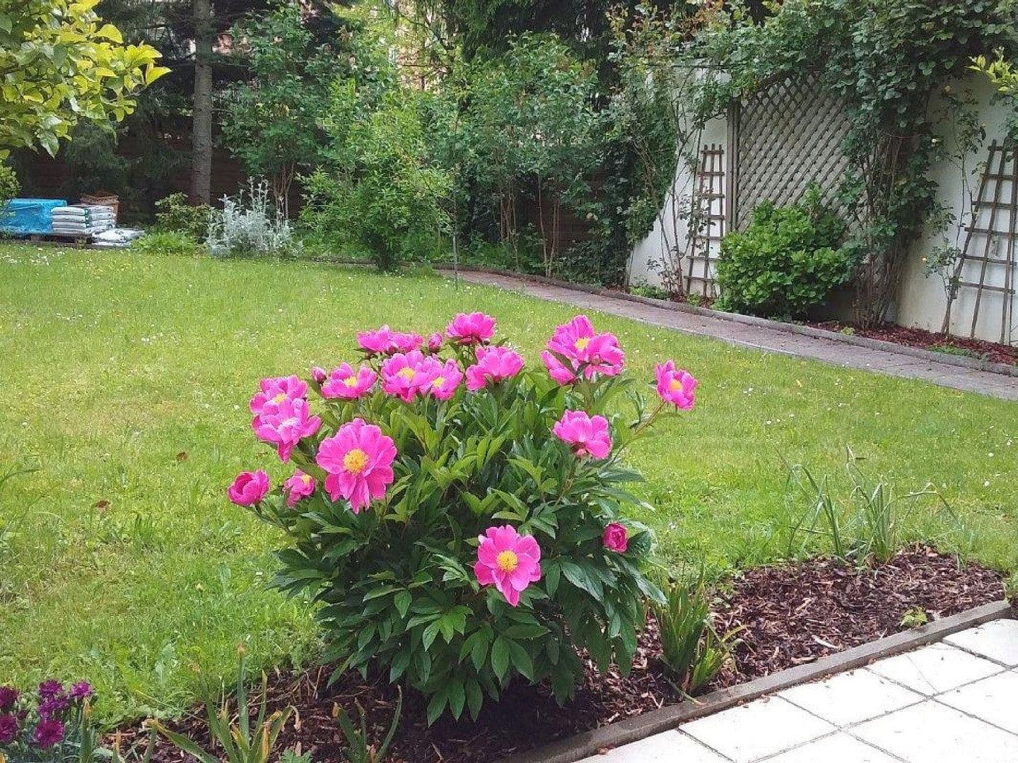 Pronájem bytu 2+1 90 m², Zorneding, Bavorsko Pronájem bytu 2+1 90 m², Zorneding, Bavorsko