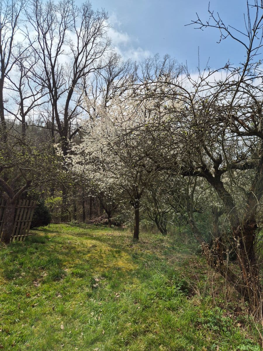 Pronájem chaty, chalupy 18 m², pozemek 900 m², Okrajová, Zdiby, Středočeský kraj Pronájem chaty, chalupy 18 m², pozemek 900 m², Okrajová, Zdiby, Středočeský kraj