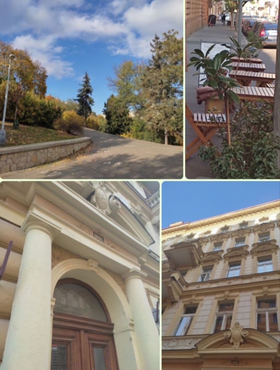 Pronájem bytu 1+kk 25 m², Tyršova, Praha, Praha Pronájem bytu 1+kk 25 m², Tyršova, Praha, Praha