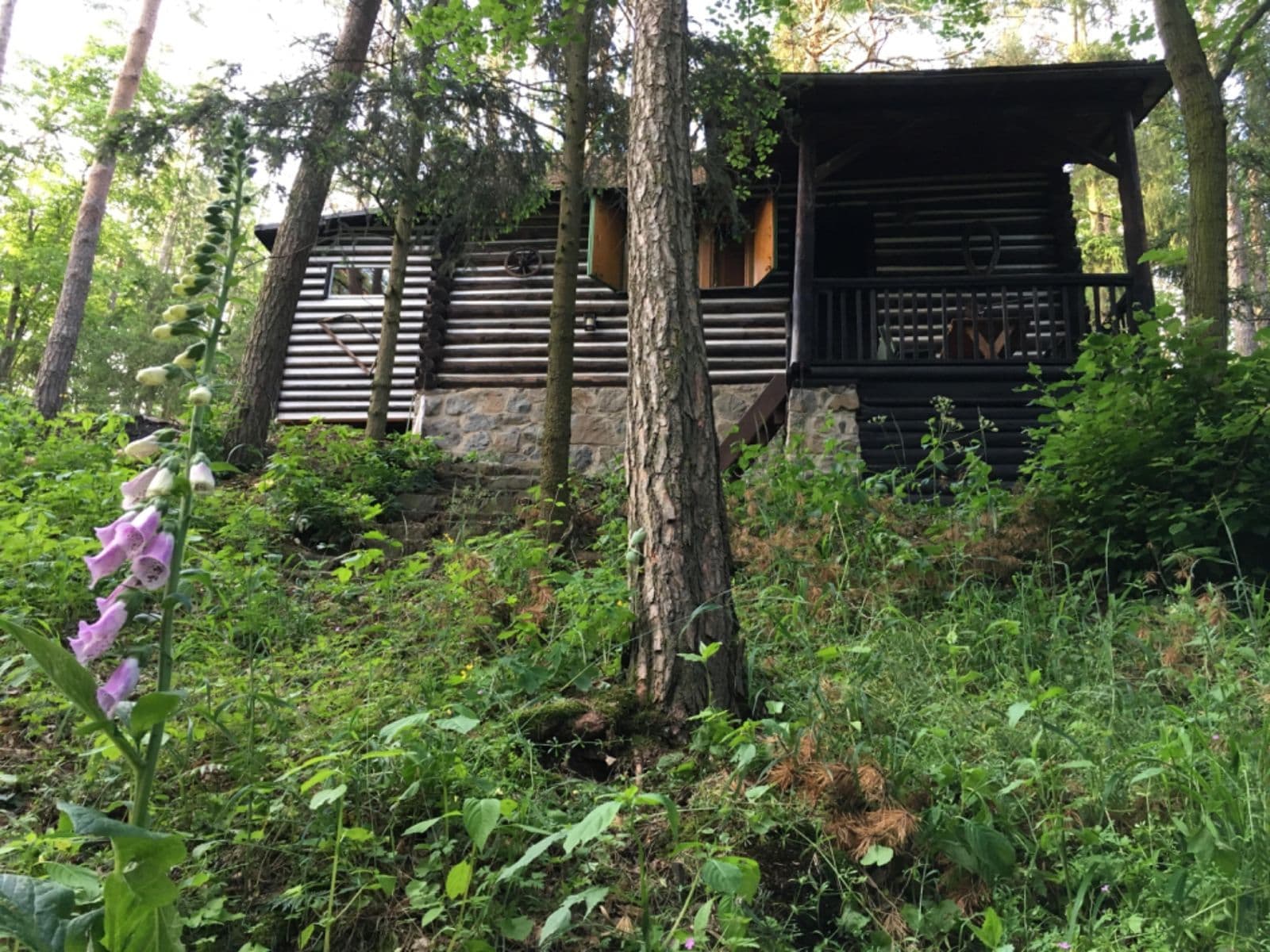 Prodej chaty, chalupy 50 m², pozemek 4.281 m², Malá Hraštice, Středočeský kraj Prodej chaty, chalupy 50 m², pozemek 4.281 m², Malá Hraštice, Středočeský kraj