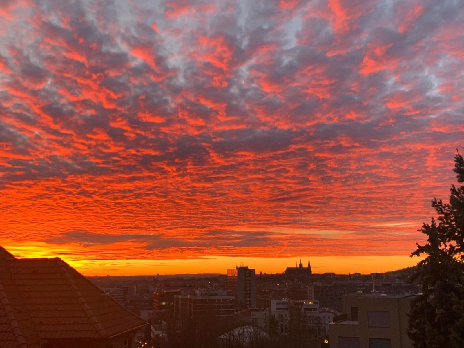 Pronájem bytu 2+1 52 m², Zengrova, Praha, Praha Pronájem bytu 2+1 52 m², Zengrova, Praha, Praha