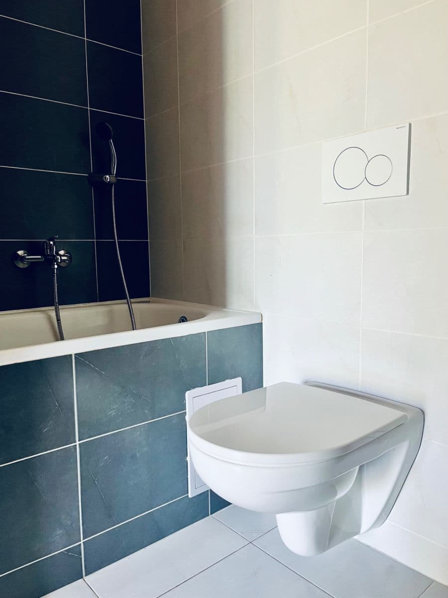 Pronájem bytu 1+kk 32 m², Radlická, Praha, Praha Pronájem bytu 1+kk 32 m², Radlická, Praha, Praha