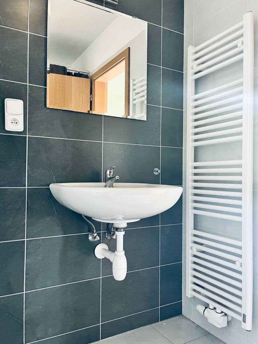 Pronájem bytu 1+kk 32 m², Radlická, Praha, Praha Pronájem bytu 1+kk 32 m², Radlická, Praha, Praha