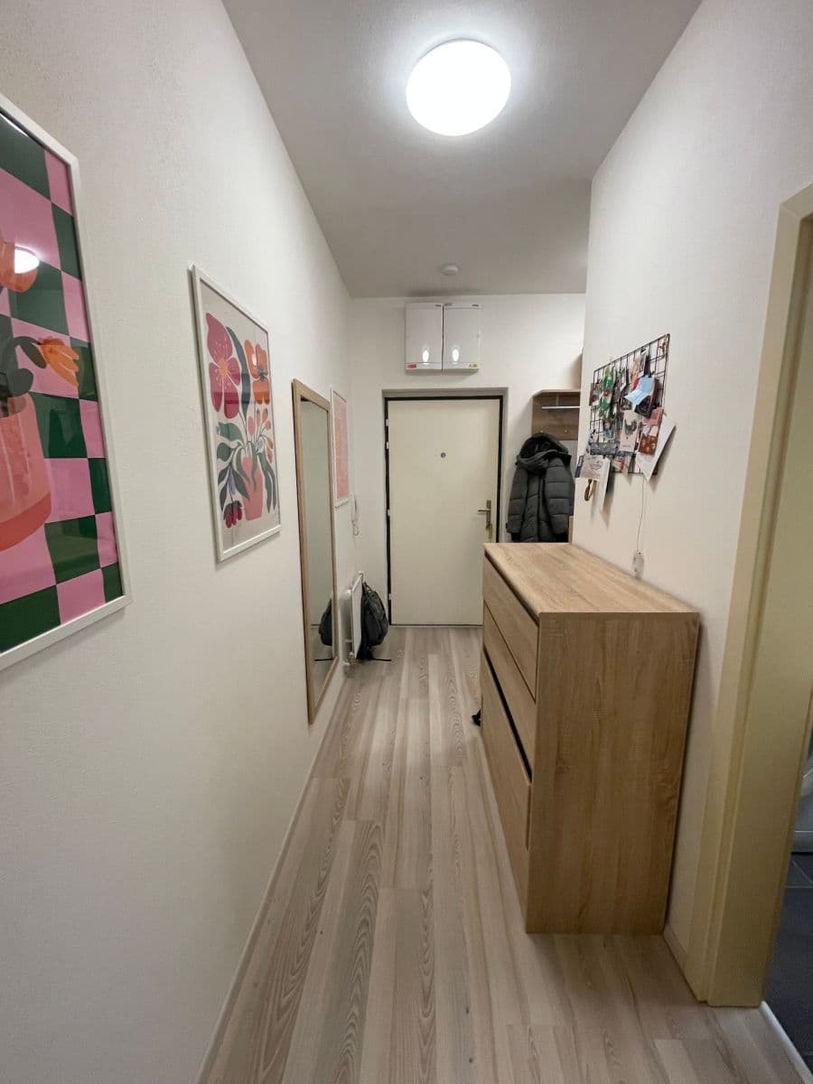 Pronájem bytu 1+kk 32 m², Kamínky, Brno, Jihomoravský kraj Pronájem bytu 1+kk 32 m², Kamínky, Brno, Jihomoravský kraj