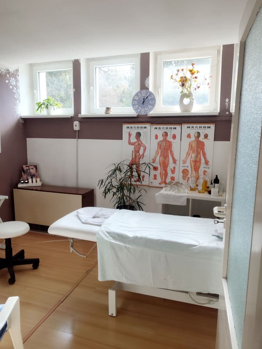 Prodej nebytového prostoru 57 m², Sídlisko Dušana Jurkoviča, Brezová pod Bradlom, Trenčiansky kraj Prodej nebytového prostoru 57 m², Sídlisko Dušana Jurkoviča, Brezová pod Bradlom, Trenčiansky kraj