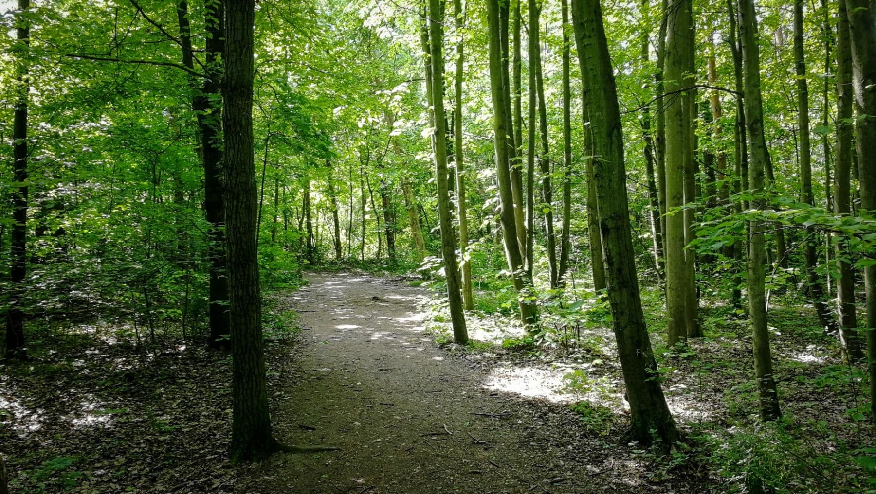 Pronájem bytu 1+kk 31 m², Hermanové, Praha, Praha Pronájem bytu 1+kk 31 m², Hermanové, Praha, Praha