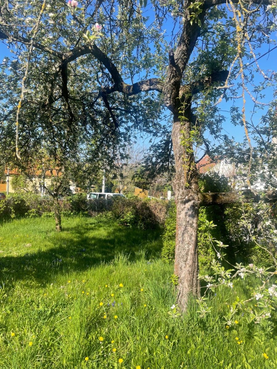 Pronájem pozemku 400 m², Brno, Jihomoravský kraj Pronájem pozemku 400 m², Brno, Jihomoravský kraj