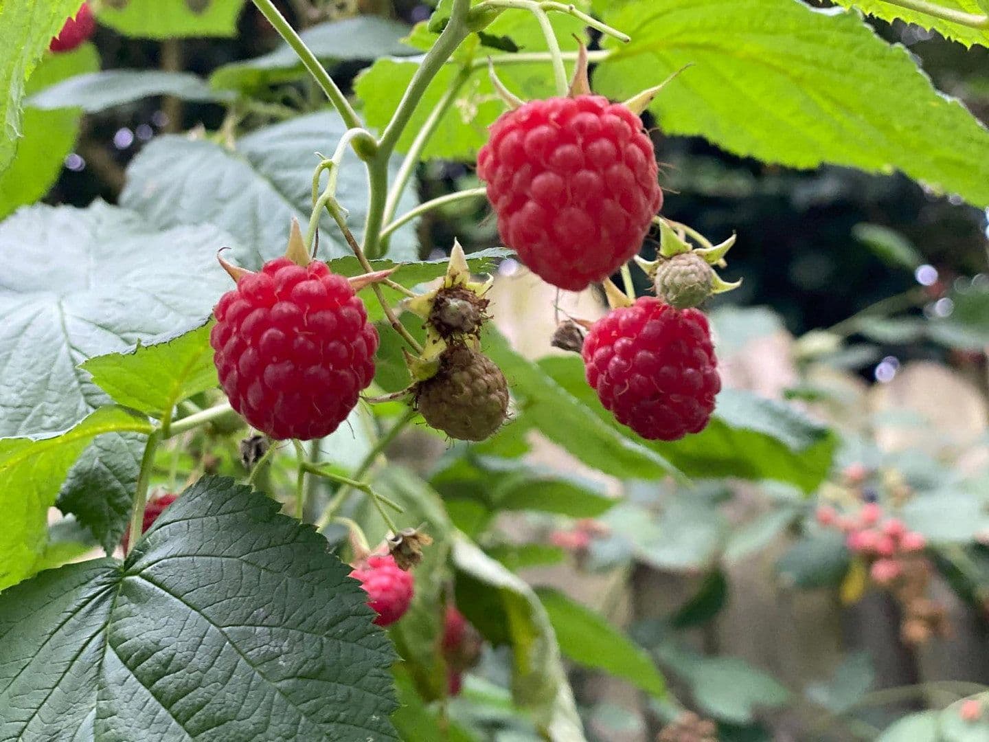 Prodej domu 100 m², pozemek 124 m², Döringweg 7d, Hamburg, Hamburg Prodej domu 100 m², pozemek 124 m², Döringweg 7d, Hamburg, Hamburg