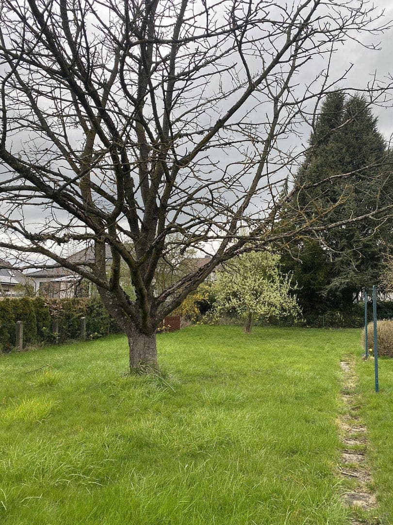 Prodej domu 198 m², pozemek 1.410 m², Bad Nenndorf, Dolní Sasko Prodej domu 198 m², pozemek 1.410 m², Bad Nenndorf, Dolní Sasko