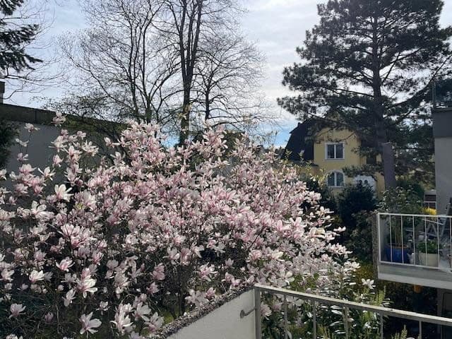 Prodej bytu 2+1 61 m², Tiergartenstraße 150, Hannover, Dolní Sasko Prodej bytu 2+1 61 m², Tiergartenstraße 150, Hannover, Dolní Sasko