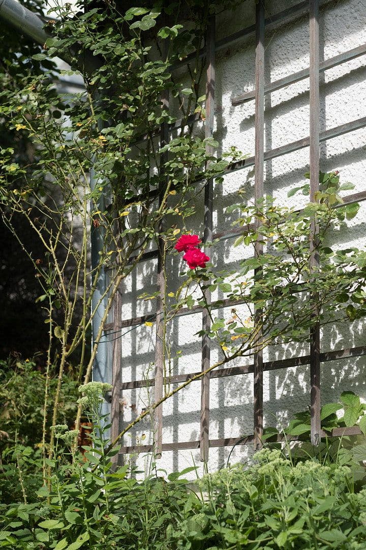 Prodej domu 295 m², pozemek 3.159 m², Wildenberg, Bavorsko Prodej domu 295 m², pozemek 3.159 m², Wildenberg, Bavorsko