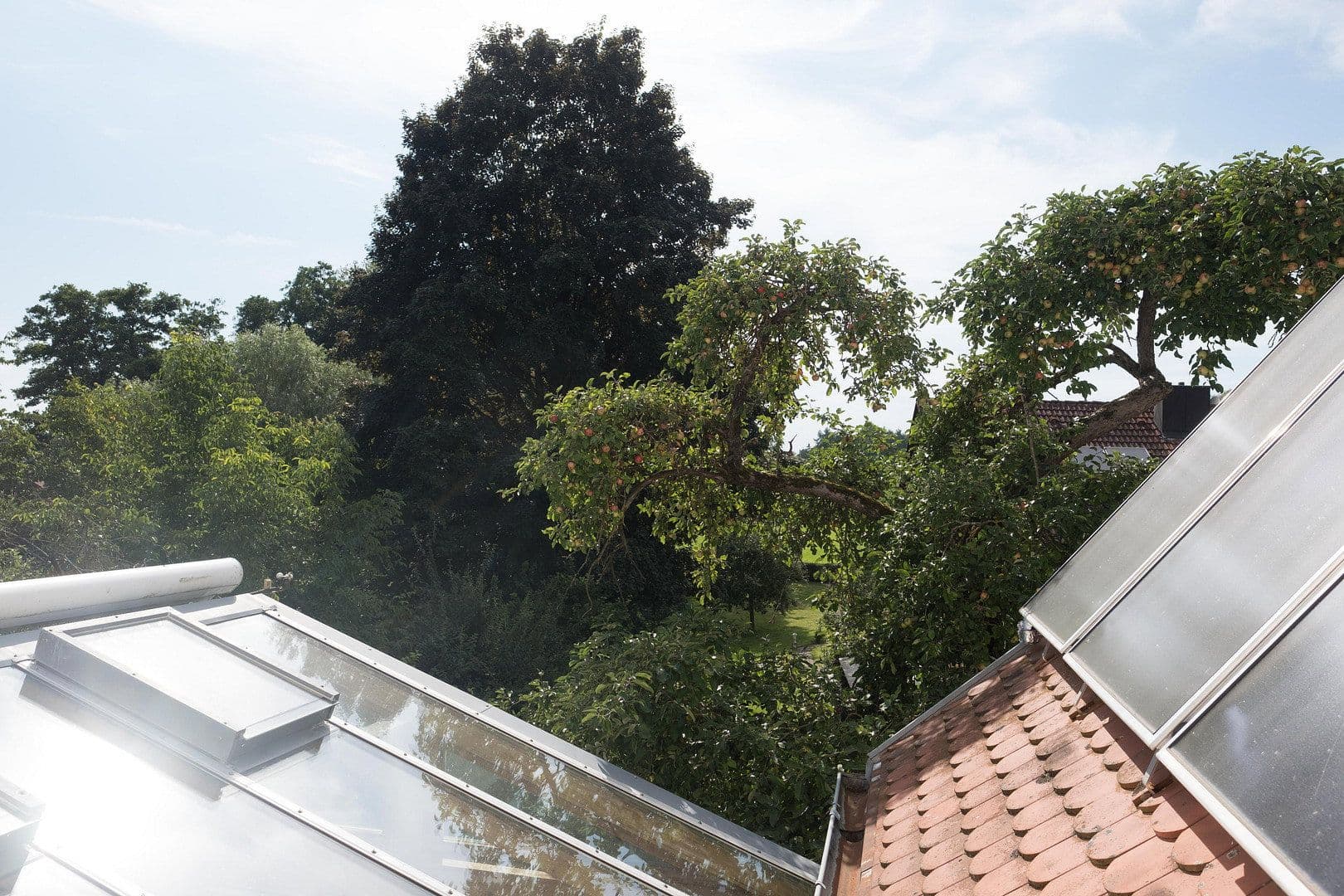 Prodej domu 295 m², pozemek 3.159 m², Wildenberg, Bavorsko Prodej domu 295 m², pozemek 3.159 m², Wildenberg, Bavorsko