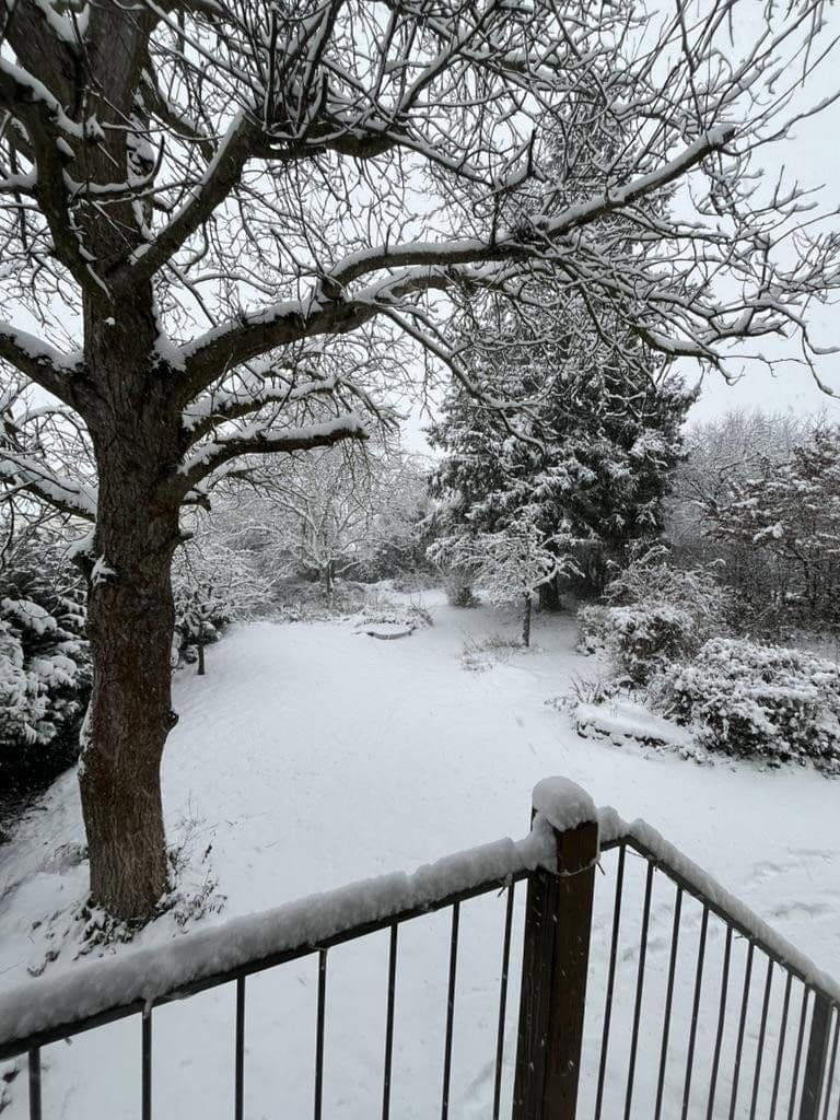 Prodej domu 183 m², pozemek 975 m², Linsengericht, Hessen Prodej domu 183 m², pozemek 975 m², Linsengericht, Hessen