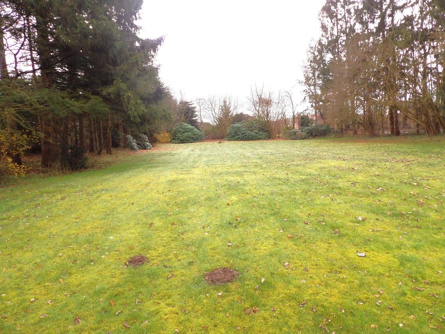 Prodej domu 88 m², pozemek 5.059 m², Ostenfeld, Šlesvicko-Holštýnsko Prodej domu 88 m², pozemek 5.059 m², Ostenfeld, Šlesvicko-Holštýnsko