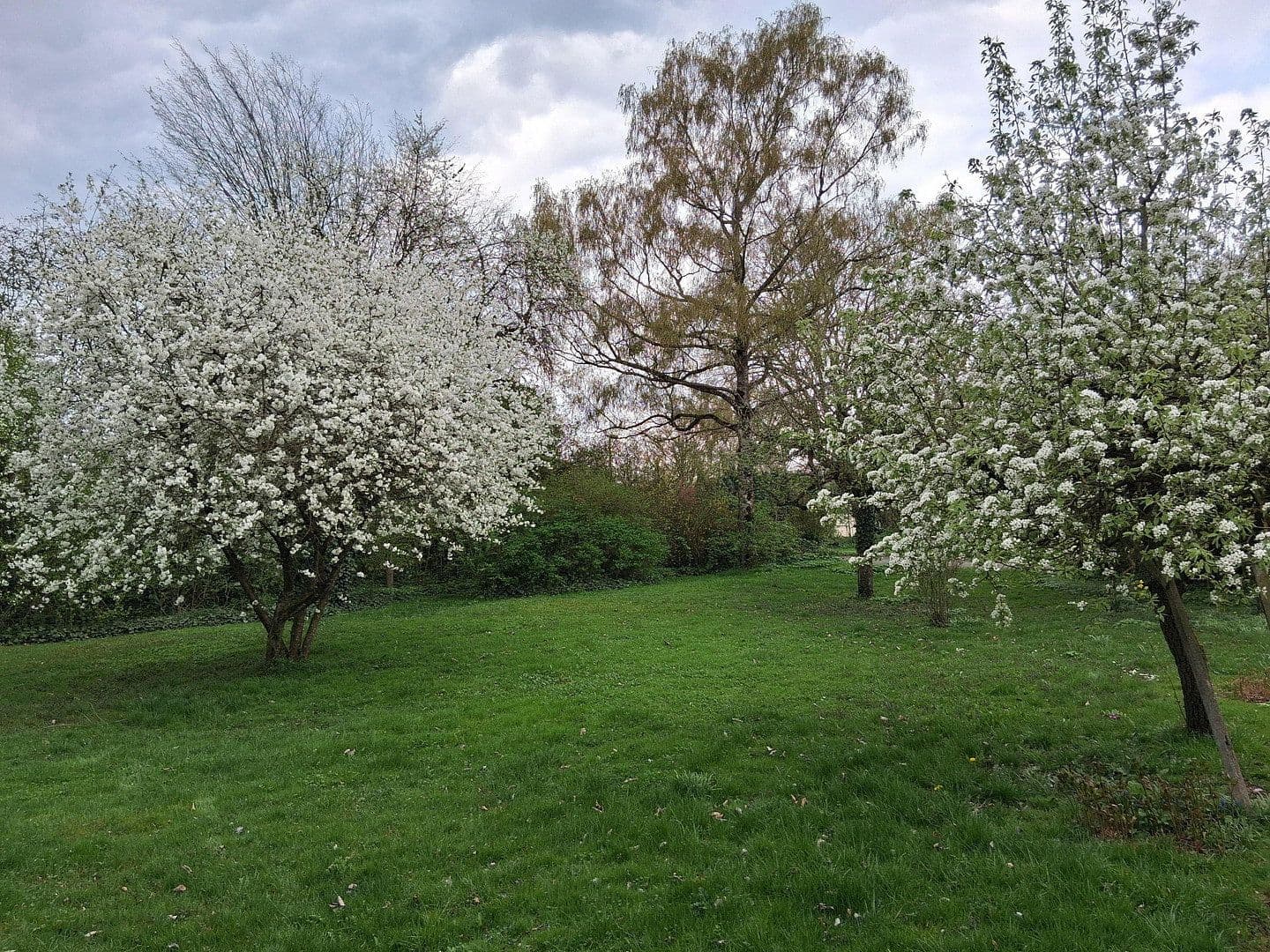 Prodej domu 130 m², pozemek 5.500 m², Korbach, Hessen Prodej domu 130 m², pozemek 5.500 m², Korbach, Hessen