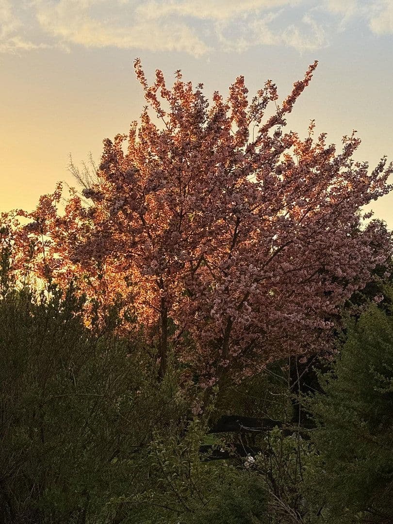 Prodej domu 131 m², pozemek 672 m², Neukirchen bei Sulzbach-Rosenberg, Bavorsko Prodej domu 131 m², pozemek 672 m², Neukirchen bei Sulzbach-Rosenberg, Bavorsko