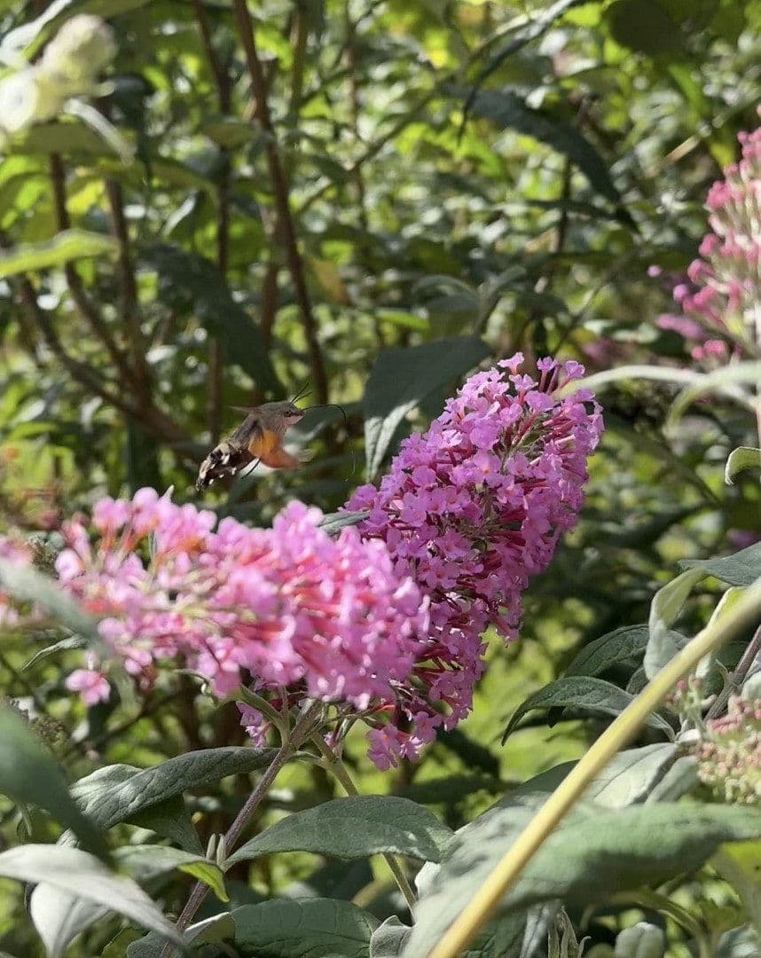 Prodej domu 131 m², pozemek 672 m², Neukirchen bei Sulzbach-Rosenberg, Bavorsko Prodej domu 131 m², pozemek 672 m², Neukirchen bei Sulzbach-Rosenberg, Bavorsko