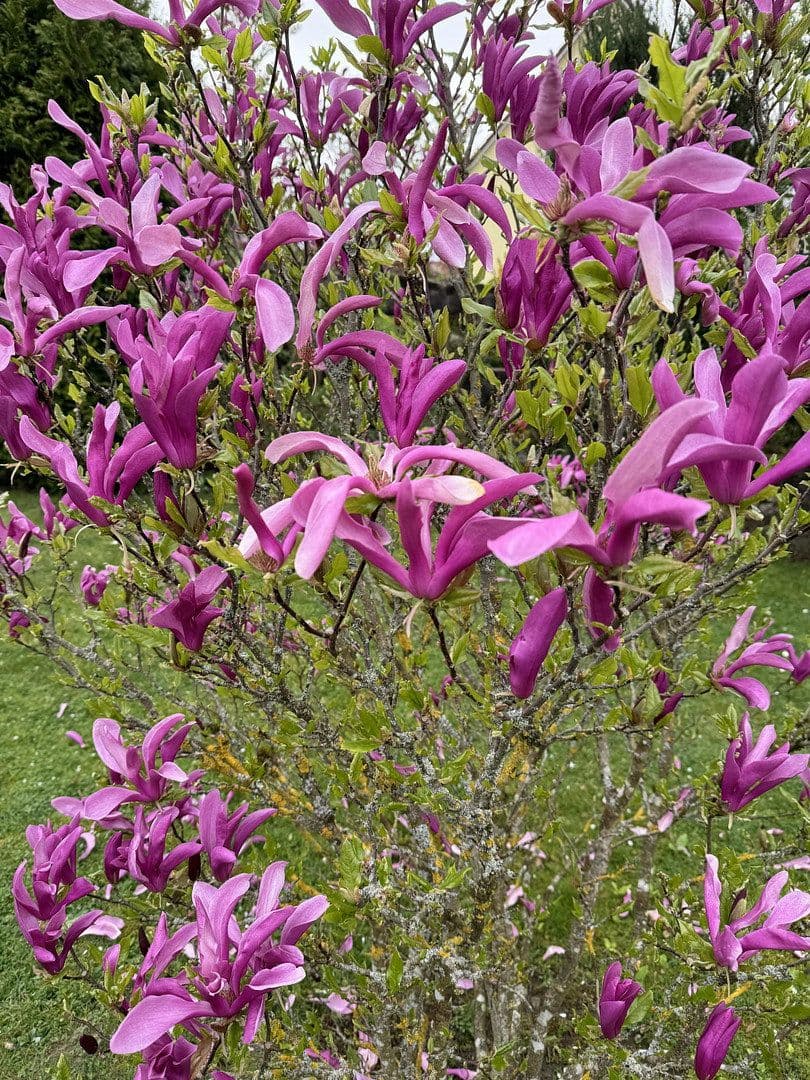 Prodej domu 131 m², pozemek 672 m², Neukirchen bei Sulzbach-Rosenberg, Bavorsko Prodej domu 131 m², pozemek 672 m², Neukirchen bei Sulzbach-Rosenberg, Bavorsko