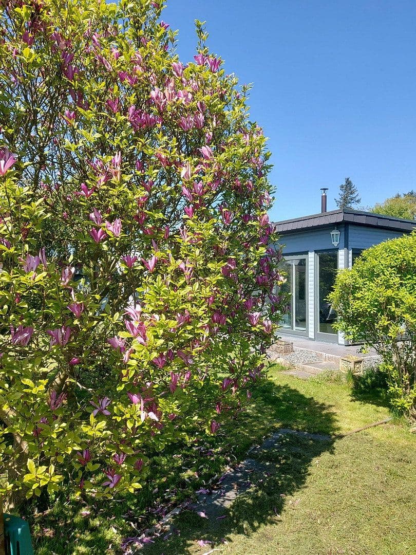 Prodej domu 45 m², pozemek 474 m², Scharbeutz, Šlesvicko-Holštýnsko Prodej domu 45 m², pozemek 474 m², Scharbeutz, Šlesvicko-Holštýnsko