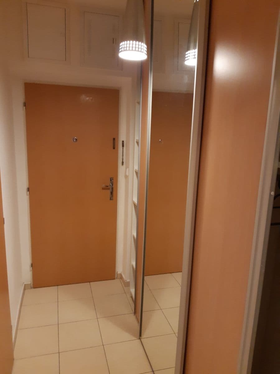 Pronájem bytu 1+kk 28 m², bratří Žůrků, Brno, Jihomoravský kraj Pronájem bytu 1+kk 28 m², bratří Žůrků, Brno, Jihomoravský kraj