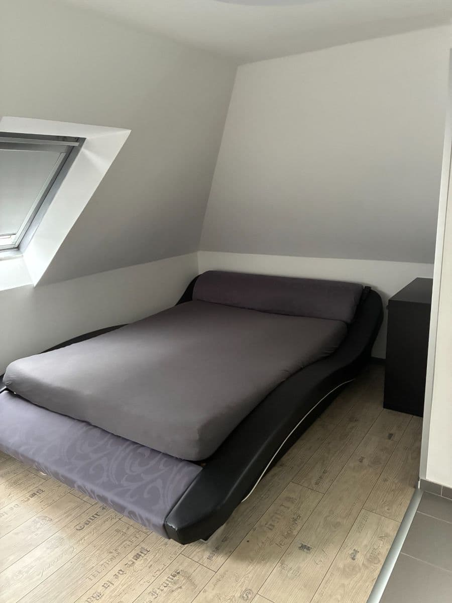 Pronájem bytu 1+kk 45 m², U Svodnice, Praha, Praha Pronájem bytu 1+kk 45 m², U Svodnice, Praha, Praha