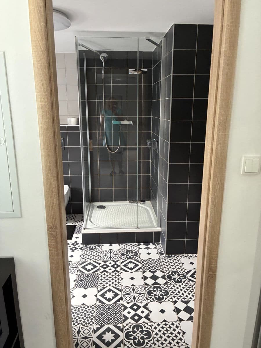 Pronájem bytu 1+kk 45 m², U Svodnice, Praha, Praha Pronájem bytu 1+kk 45 m², U Svodnice, Praha, Praha