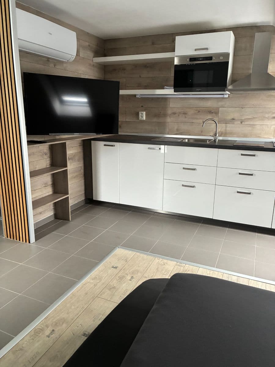 Pronájem bytu 1+kk 45 m², U Svodnice, Praha, Praha Pronájem bytu 1+kk 45 m², U Svodnice, Praha, Praha