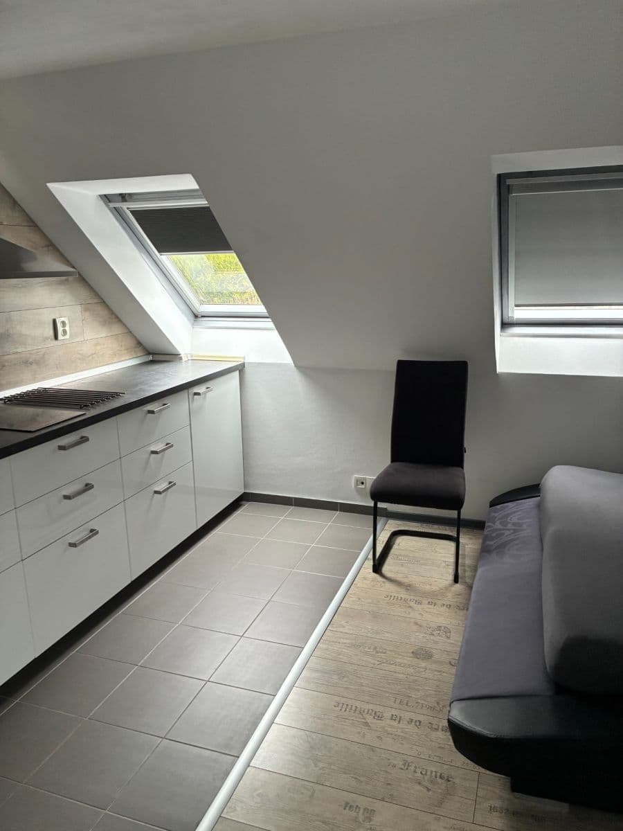 Pronájem bytu 1+kk 45 m², U Svodnice, Praha, Praha Pronájem bytu 1+kk 45 m², U Svodnice, Praha, Praha
