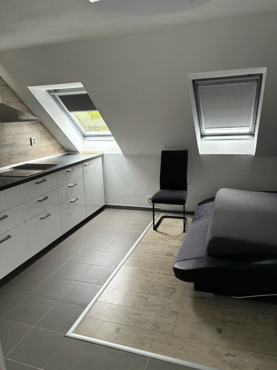 Pronájem bytu 1+kk 45 m², U Svodnice, Praha, Praha Pronájem bytu 1+kk 45 m², U Svodnice, Praha, Praha