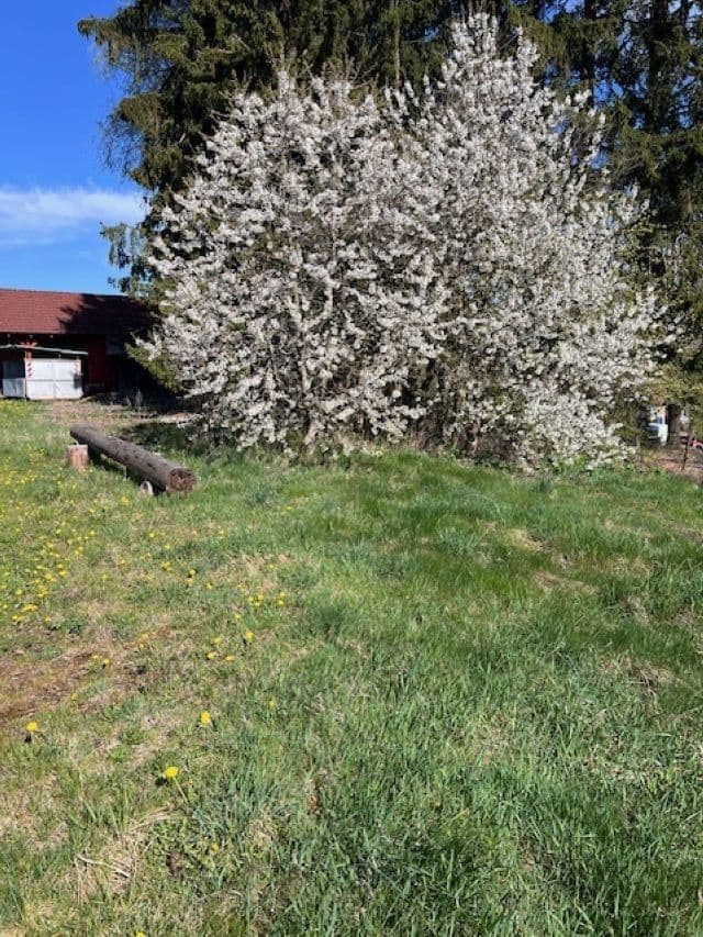 Pronájem bytu 3+kk 75 m², Chotoviny, Jihočeský kraj Pronájem bytu 3+kk 75 m², Chotoviny, Jihočeský kraj