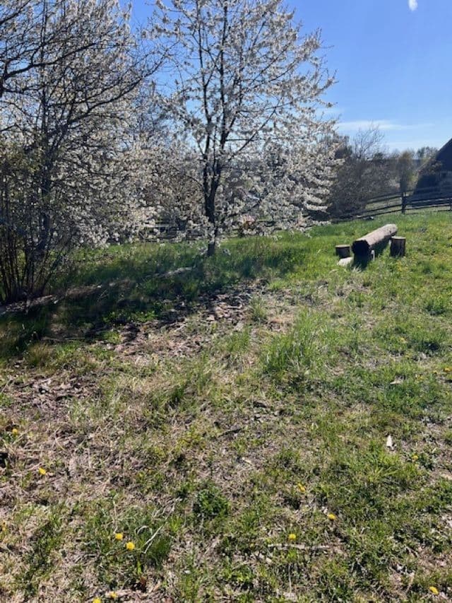 Pronájem bytu 3+kk 75 m², Chotoviny, Jihočeský kraj Pronájem bytu 3+kk 75 m², Chotoviny, Jihočeský kraj