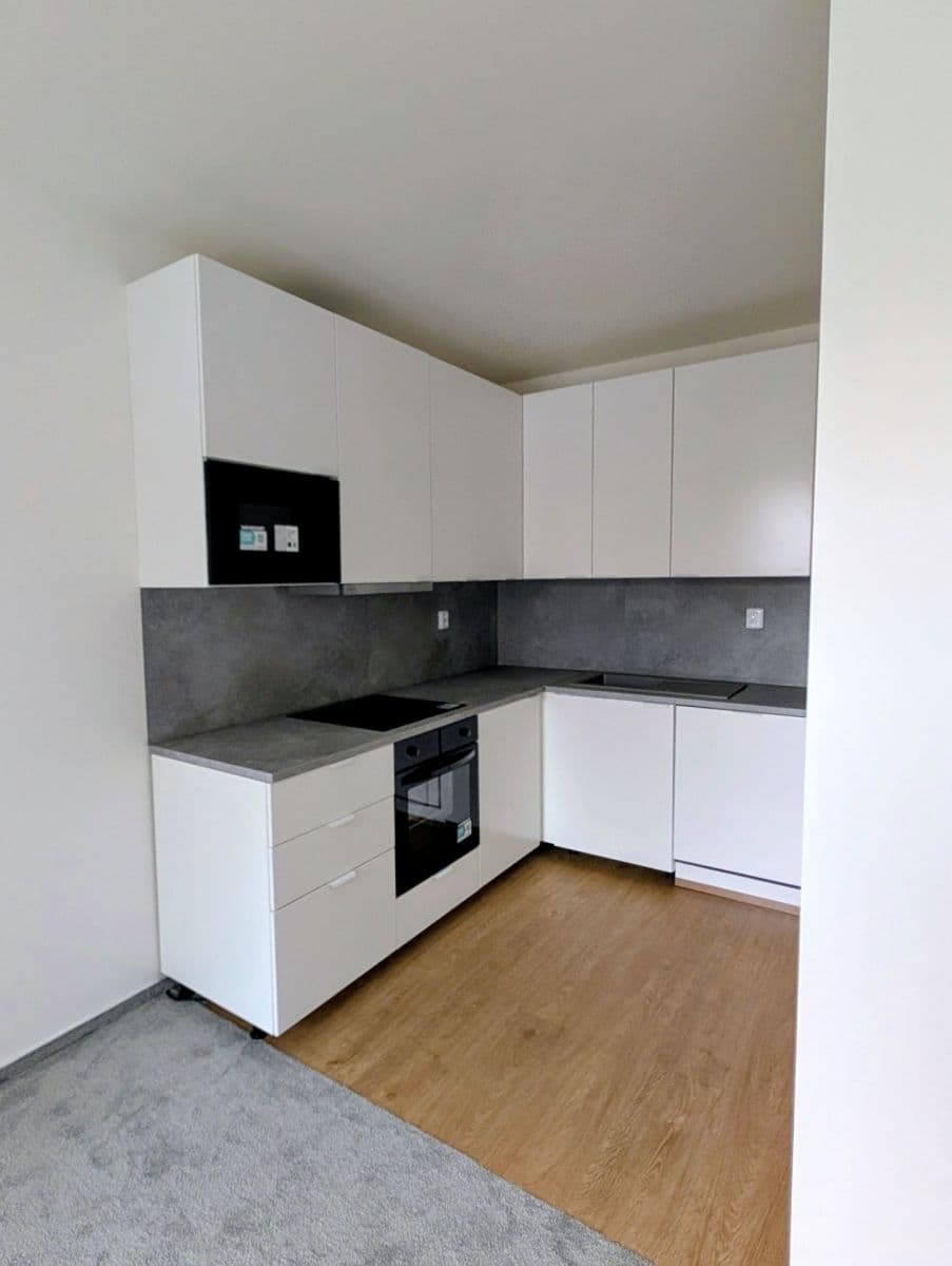 Pronájem bytu 1+kk 48 m², Gerstelova, Praha, Praha Pronájem bytu 1+kk 48 m², Gerstelova, Praha, Praha