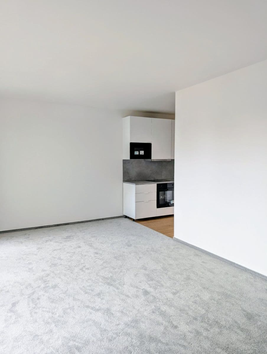 Pronájem bytu 1+kk 48 m², Gerstelova, Praha, Praha Pronájem bytu 1+kk 48 m², Gerstelova, Praha, Praha