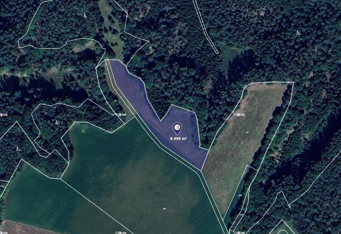 Prodej pozemku 8.999 m², Dobřeň, Středočeský kraj Prodej pozemku 8.999 m², Dobřeň, Středočeský kraj